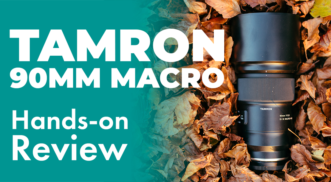 Tamron 90mm F/2.8 Di III MACRO VXD Review (Sony FE), the best macro lens under $1000? – Sharpness, Bokeh & AF Tested